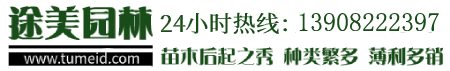 青海東方華成鋼結構工程有限公司